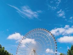 -富华游乐园