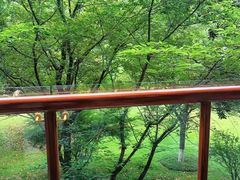 -天目湖御水温泉·度假酒店