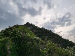 -沣峪森林公园龙潭戏水景区