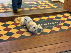 -重庆十八梯传统风貌区