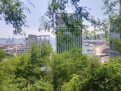 -梧桐山风景名胜区