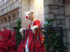 -济州岛泰迪熊博物馆