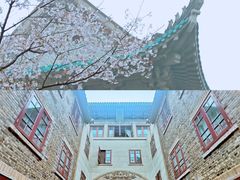-武汉大学-樱园