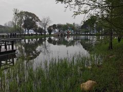 -渤公岛生态公园