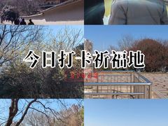 -南京市江宁方山