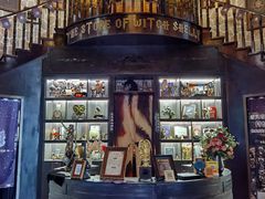 -雪灵魔法世界SHELLY’S TAROT(大良桂畔里店)