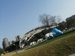 -海合安成都极地海洋公园