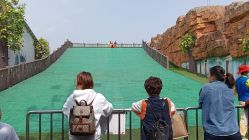 点击看大图 -宝燕乐园(闵行旗舰店)