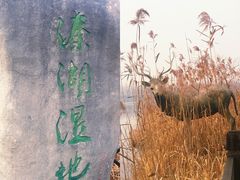 -溱湖国家湿地公园