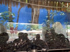 -芭厘农庄老字号·清远鸡