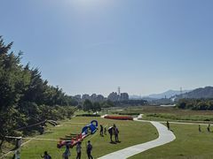 -风云岭森林公园