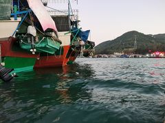 -蓝湾碧波·老字号·疍家非遗海上餐厅