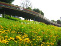 -府河摄影公园