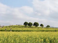 -光明小镇欢乐田园