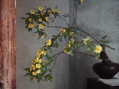 -曲廊院(东四十一条店)