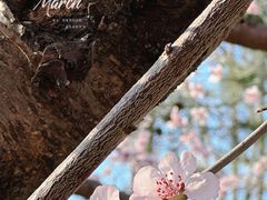 -瀛海足球主题公园