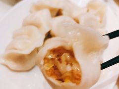 酸菜油滋了-喜鼎海胆水饺(柏威年购物中心店)