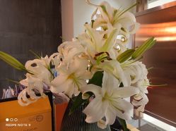 -FineYoga梵音瑜伽·普拉提