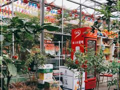 -南宫五洲植物乐园