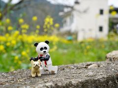 -新安江山水画廊风景区