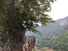 -鹿院坪生态旅游景区