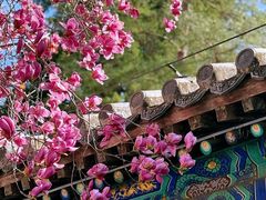 -潭柘寺景区