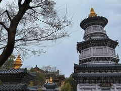 -庐山风景名胜区-东林大佛