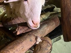 -正佳雨林生态植物园