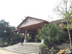 -兴隆槟榔园休闲农庄
