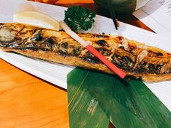 青花鱼-有喜屋·烧鸟·居酒屋(周浦万达店)