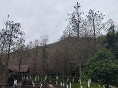 -八卦田遗址公园