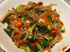 -壹盏灯(惠农店)