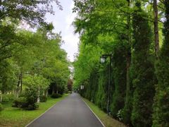 -合肥三国新城遗址公园