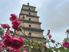 -大慈恩寺(大雁塔)