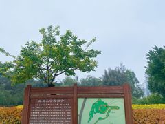 -狐尾山公园