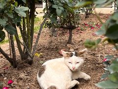 -人民公园(罗湖区)