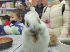 -三旗百汇商品城