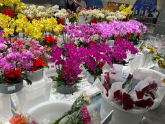 -盒马X会员店(王府井奥莱UP TOWN店)