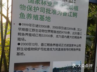 如何在一天内打卡长隆旅游度假区两个景点（二）