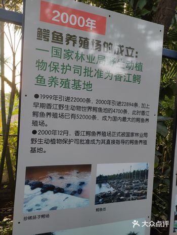 如何在一天内打卡长隆旅游度假区两个景点（二）