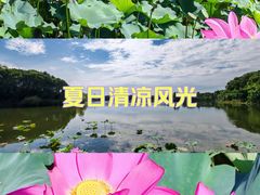 -上海市保健医疗中心