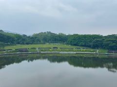 -东莞植物园