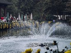 -杭州植物园