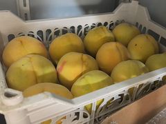-樂桃源奉贤黄桃种植采摘基地