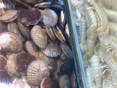 -港畔赶海蒸汽海鲜烧烤自助(仙螺岛店)