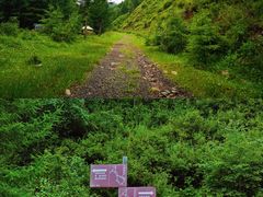-苏木山森林公园