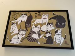 -滚猫咖啡·猫咖·猫友好撸猫(未来城店)