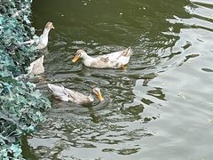 -J Create城市露营咖啡·简餐·宠物(上海动物园店)