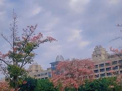 -风云岭森林公园