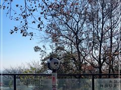 -茶颜悦色(岳麓山顶店)